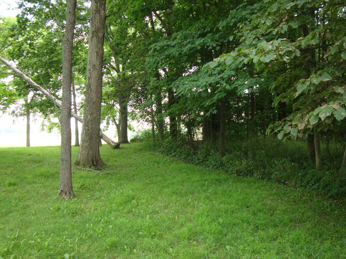 Property photo 13 - 160 Acres Offered in 6 Tracts